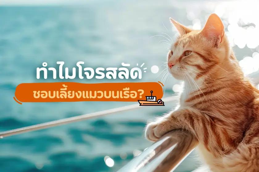 ทำไมโจรสลัดชอบเลี้ยงแมวบนเรือ???