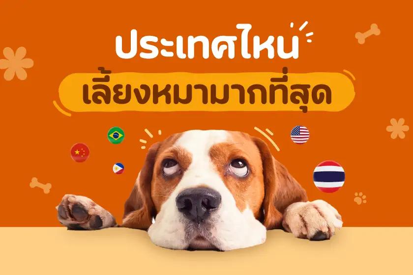 ประเทศไหนเลี้ยงหมามากที่สุด?
