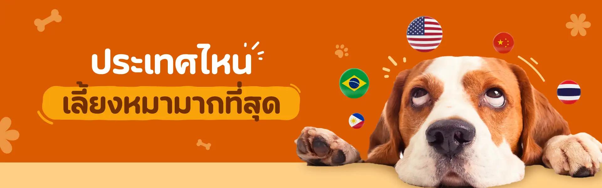 Article Banner