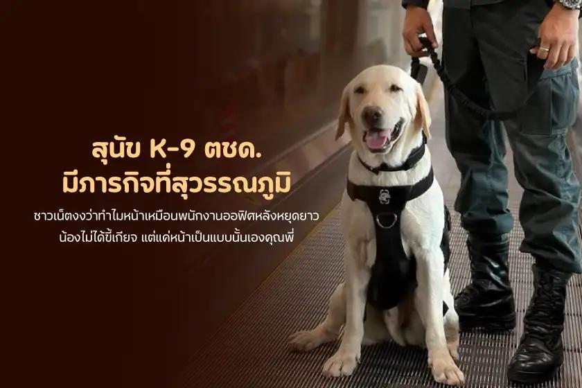 สุนัข K-9 ตชด. มีภารกิจที่สุวรรณภูมิ