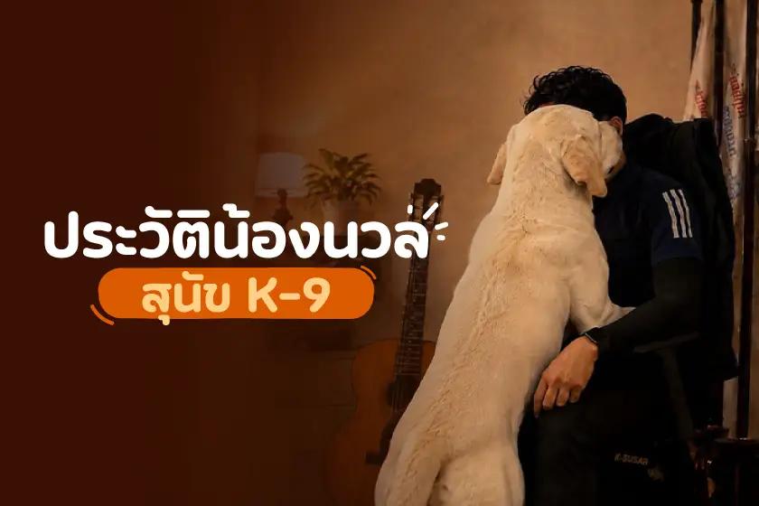 เปิดประวัติน้องนวล สุนัข K9 ที่มีแฟนคลับมากที่สุด