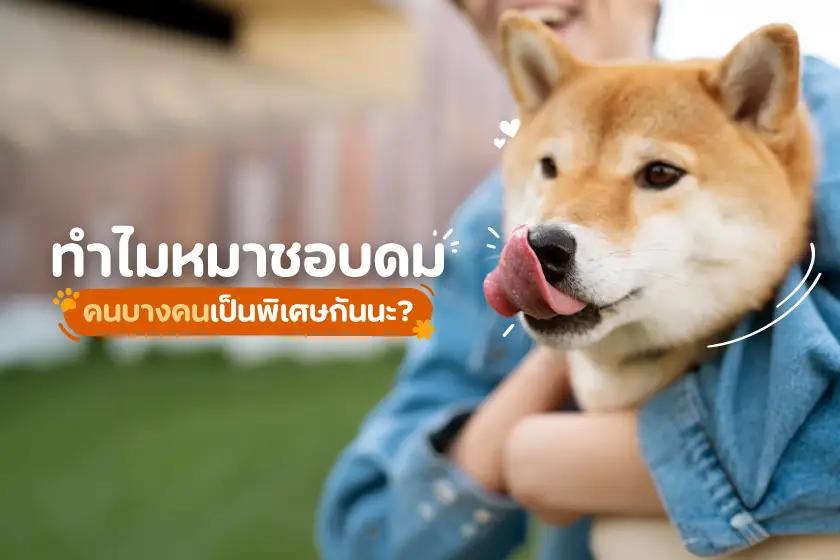 ทำไมหมาชอบดมคนบางคนเป็นพิเศษกันนะ?