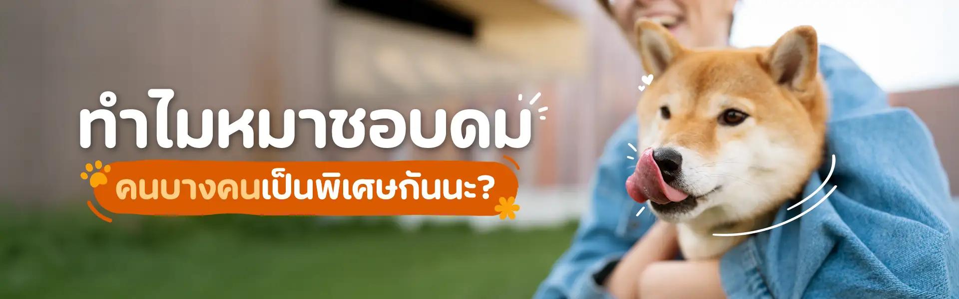 Article Banner