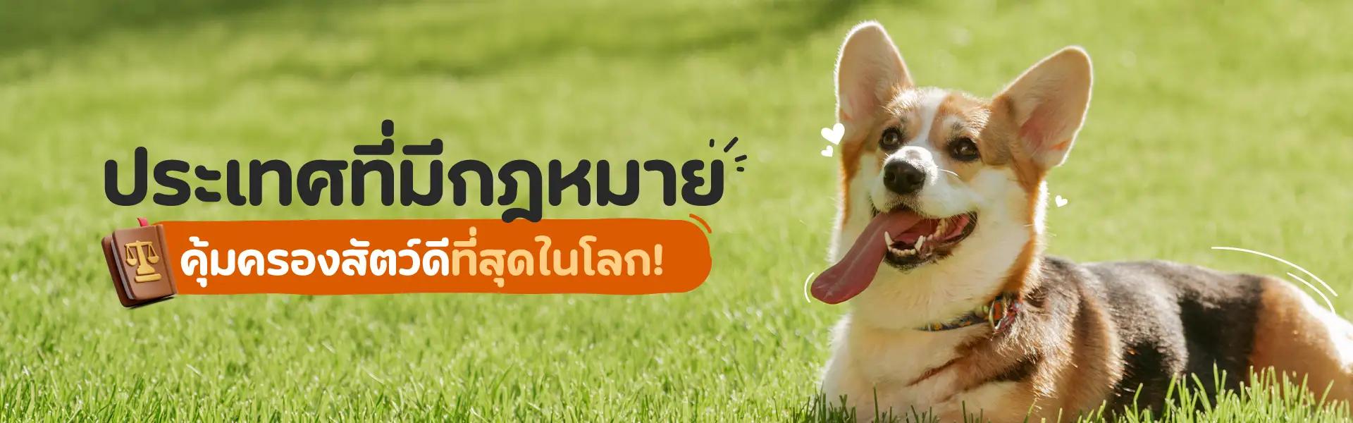 Article Banner