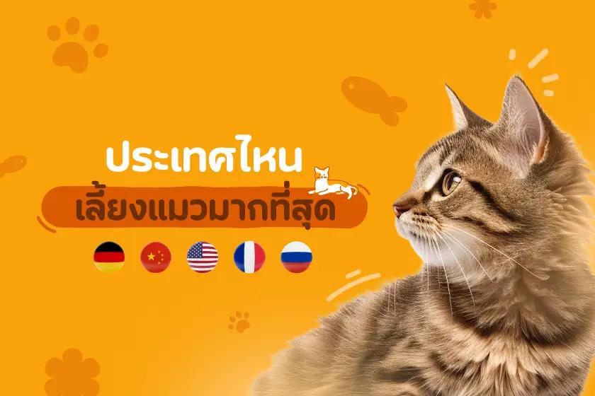 ประเทศไหนเลี้ยงแมวมากที่สุด?