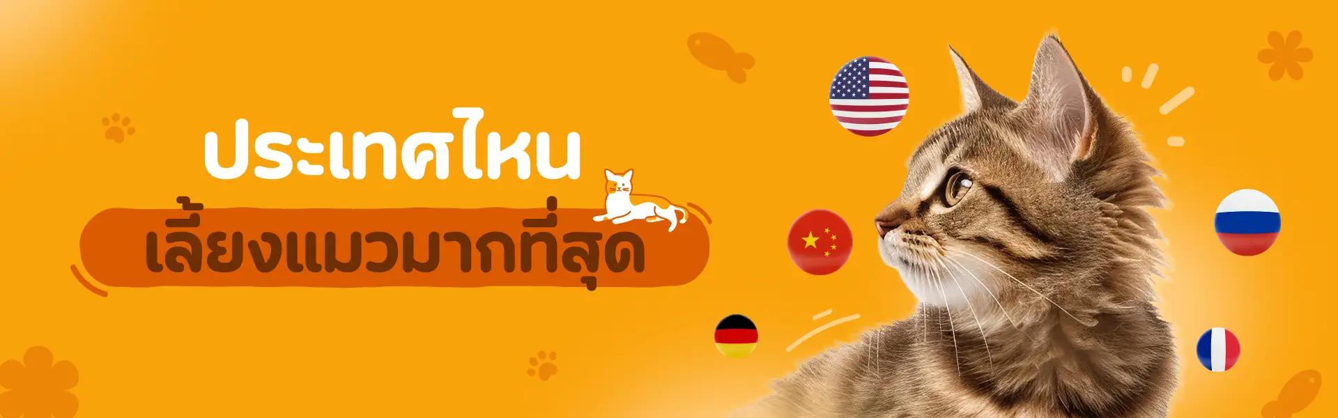 Article Banner