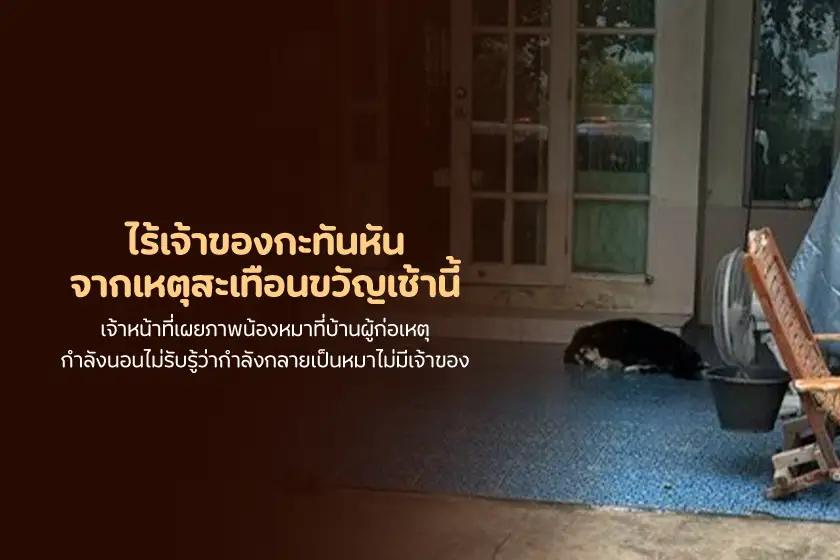 ไร้เจ้าของกะทันหัน จากเหตุสะเทือนขวัญเช้านี้