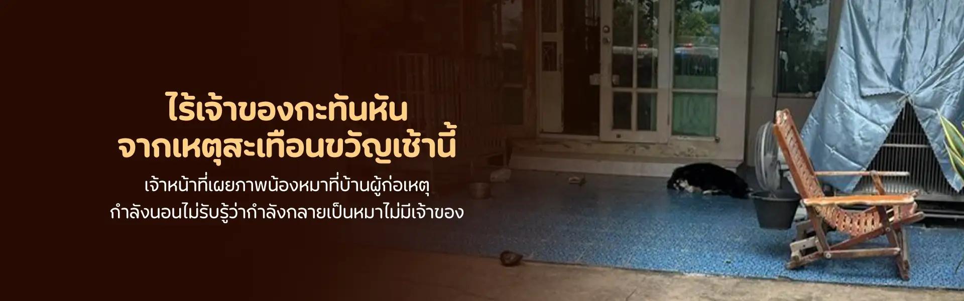 Article Banner