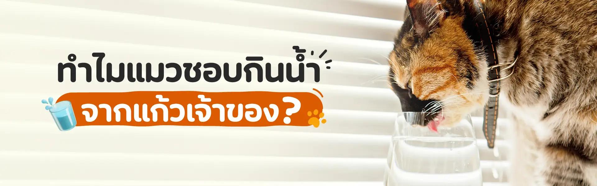 Article Banner