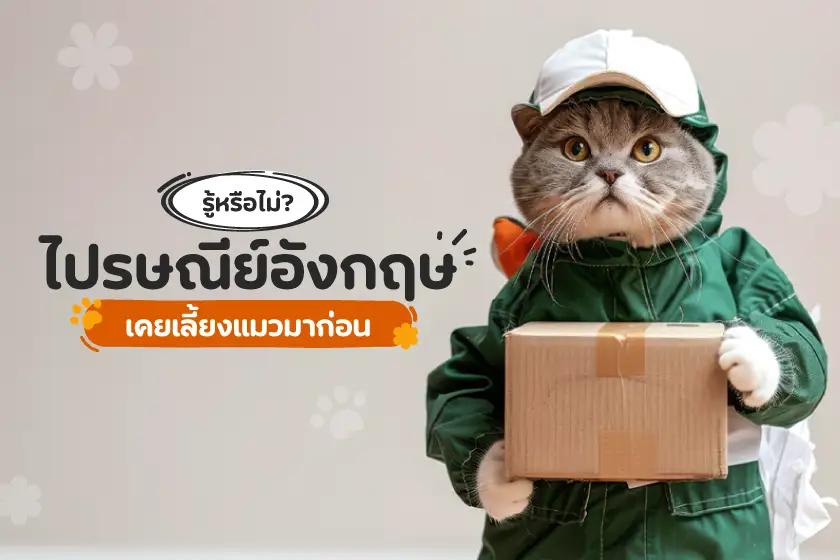 รู้หรือไม่? ไปรษณีย์อังกฤษเคยเลี้ยงแมวมาก่อน