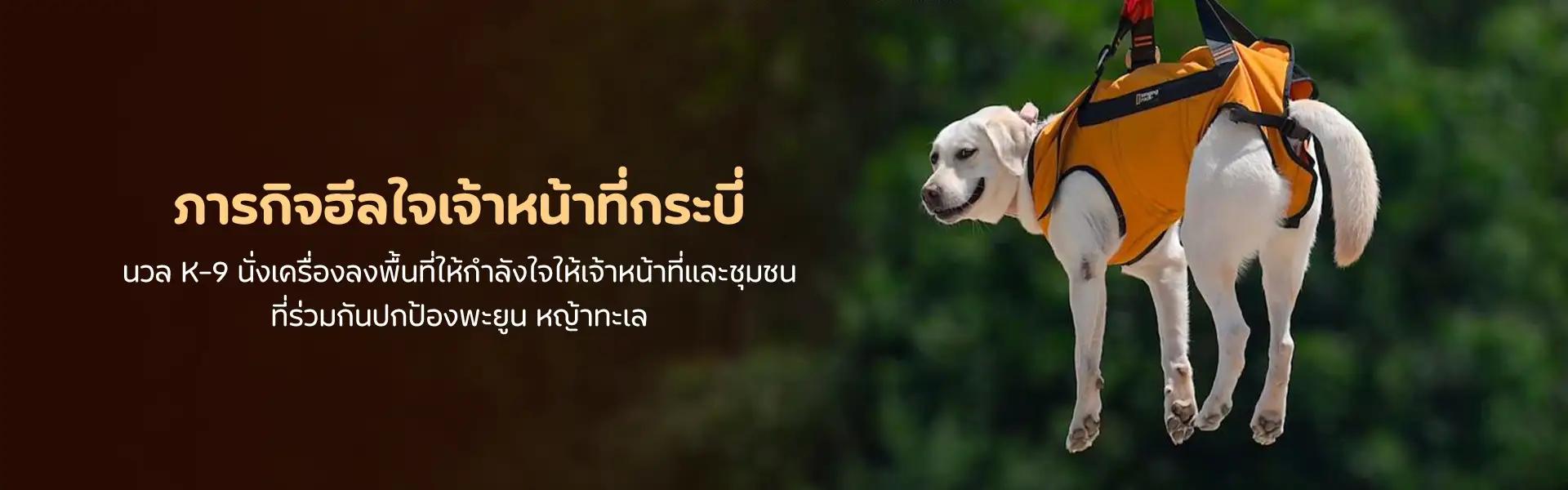 Article Banner