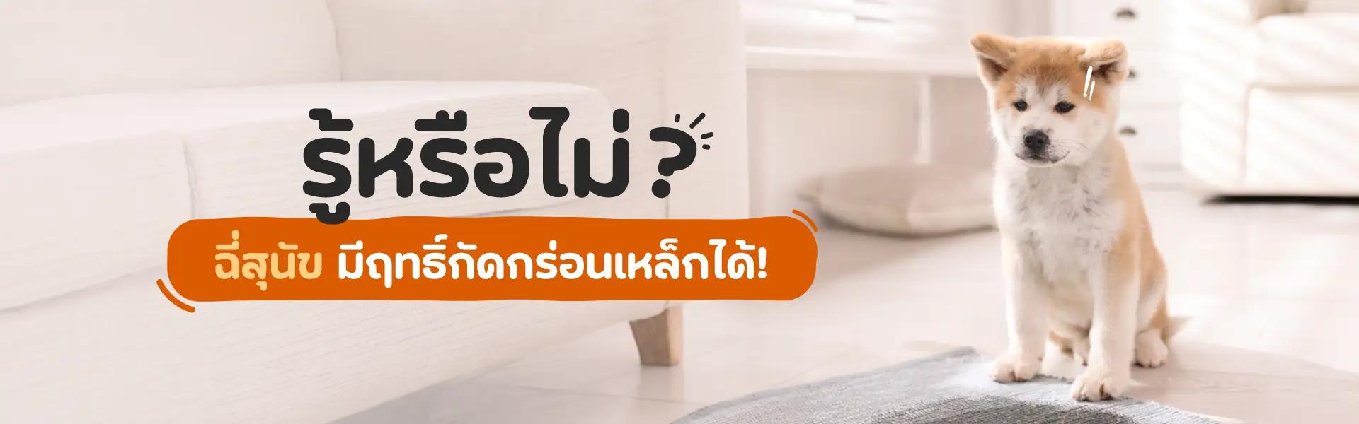 Article Banner