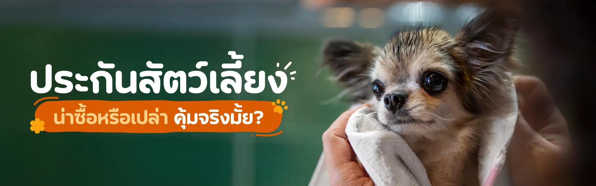 Article Banner