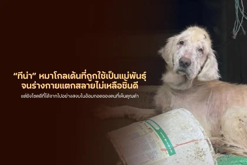 แผ่นดินไหวเขย่าโคลอมเบีย ชาวบ้าน หมา แมว หนีตายกันอลหม่าน!