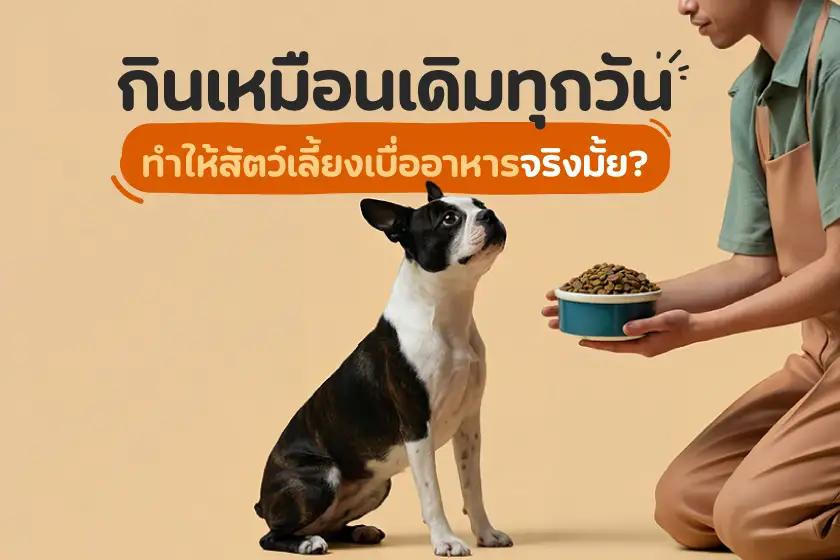 กินเหมือนเดิมทุกวัน ทำให้สัตว์เลี้ยงเบื่ออาหารจริงมั้ย?