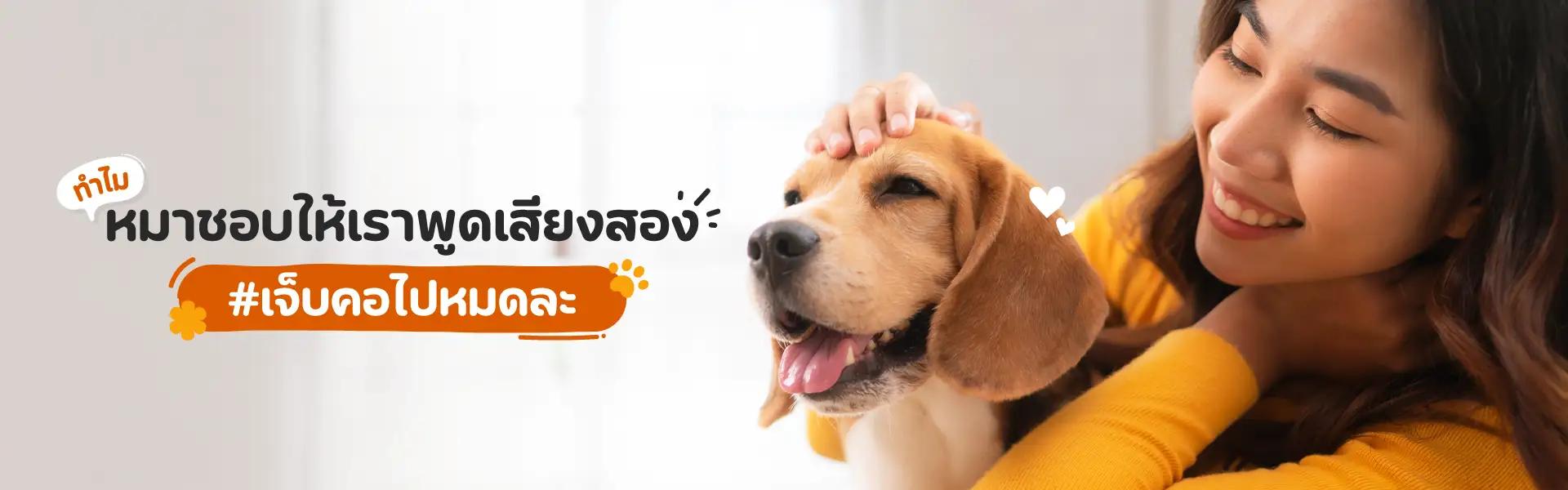 Article Banner