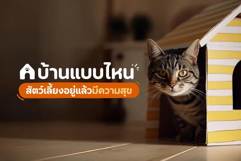 บ้านแบบไหน สัตว์เลี้ยงอยู่แล้วมีความสุข