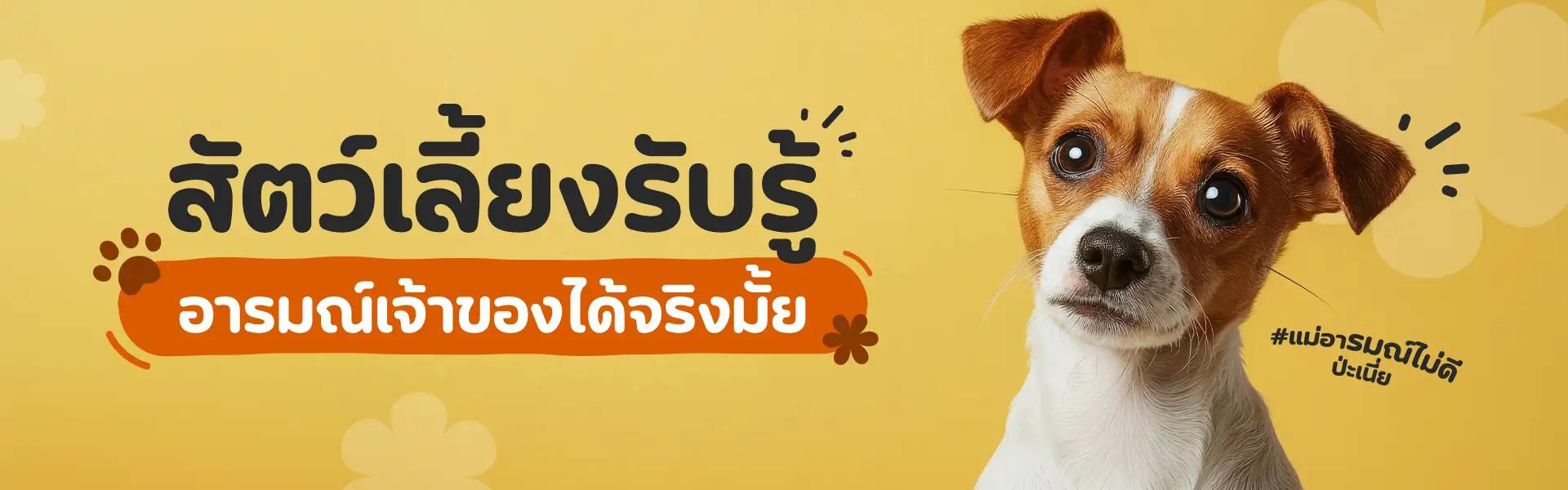 Article Banner