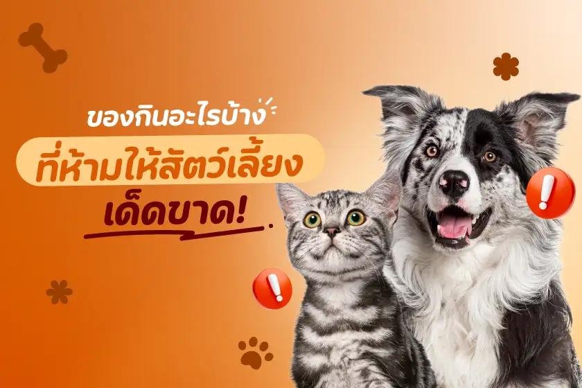 ของกินอะไรบ้าง ที่ห้ามให้สัตว์เลี้ยงเด็ดขาด!