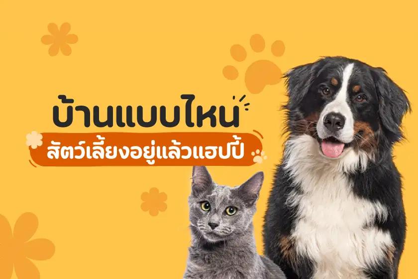 บ้านแบบไหน สัตว์เลี้ยงอยู่แล้วแฮปปี้?