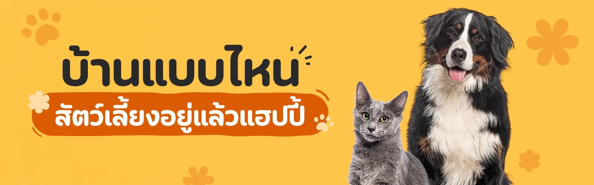 Article Banner