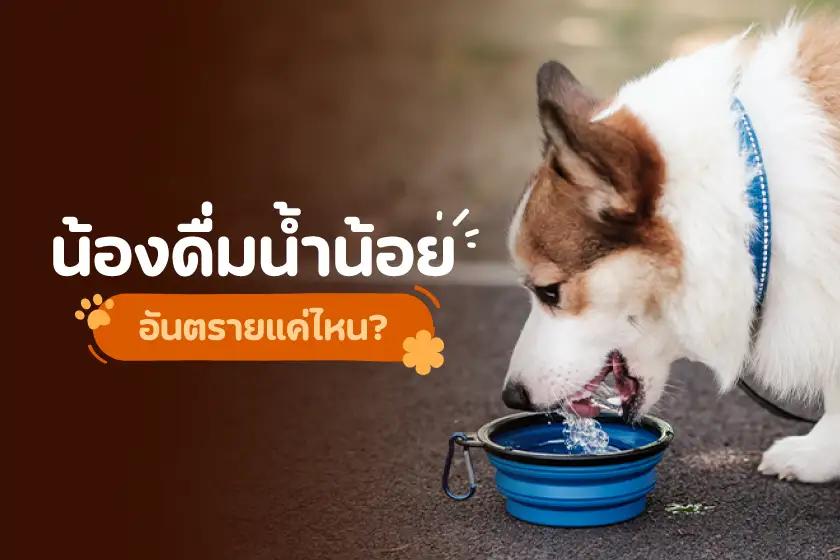 น้องดื่มน้ำน้อย อันตรายแค่ไหน?