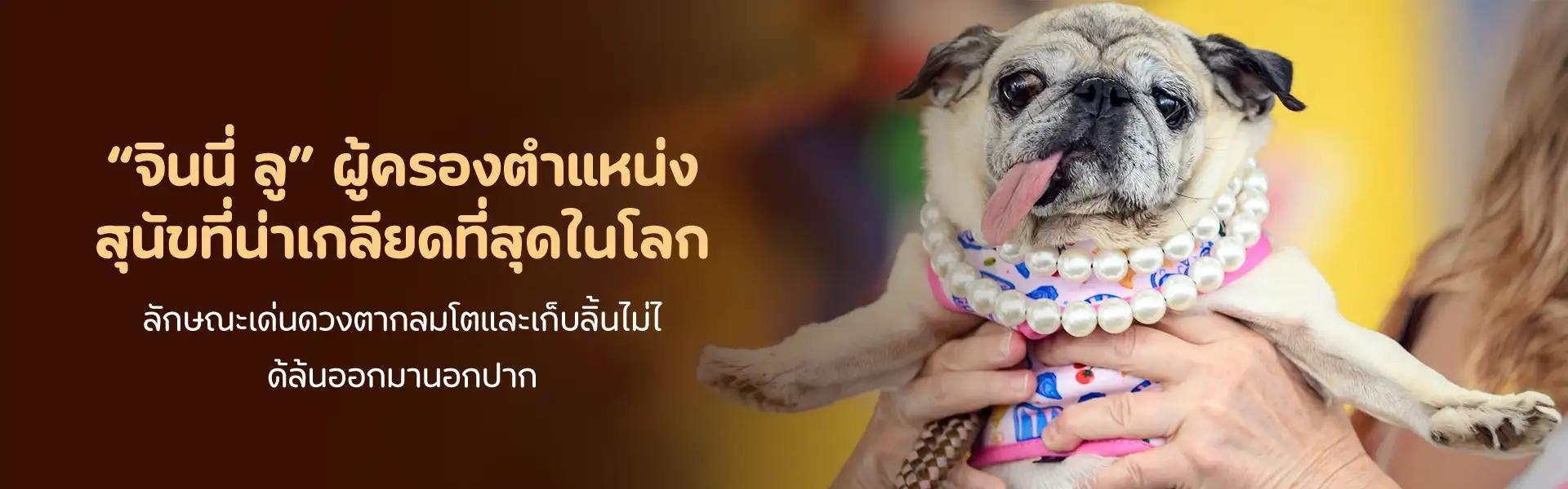 Article Banner