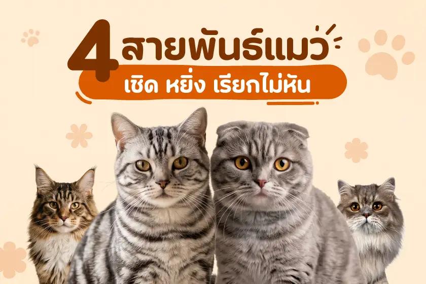 Article Banner