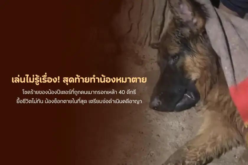 เล่นไม่รู้เรื่อง! สุดท้ายทำน้องหมาตาย