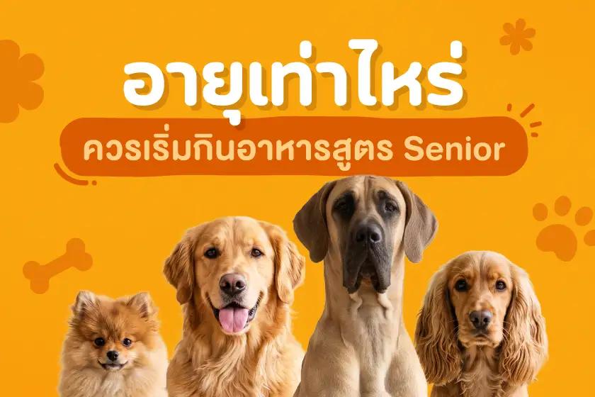 อายุเท่าไหร่ ควรเริ่มกินอาหารสูตร Senior