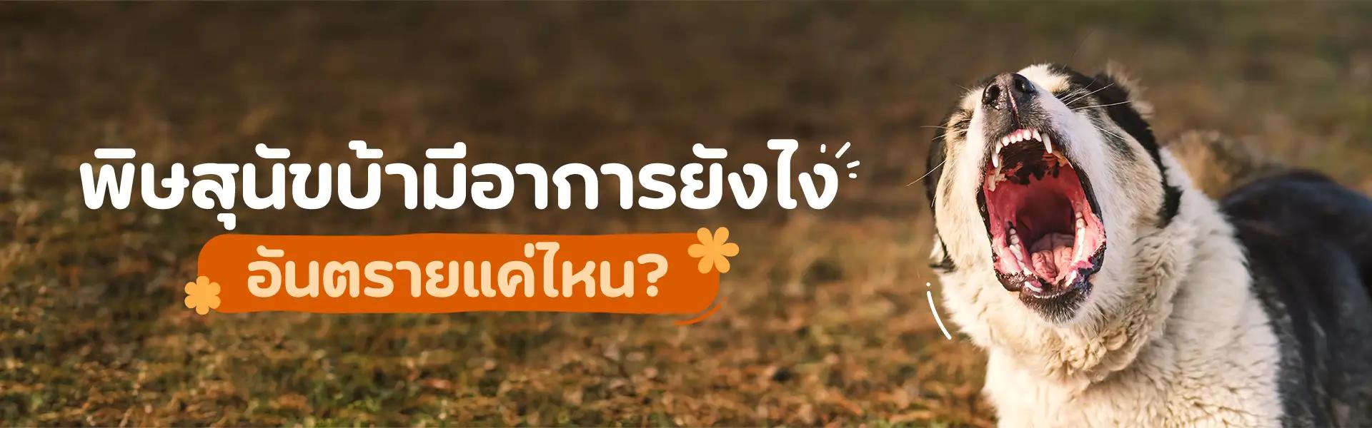 Article Banner