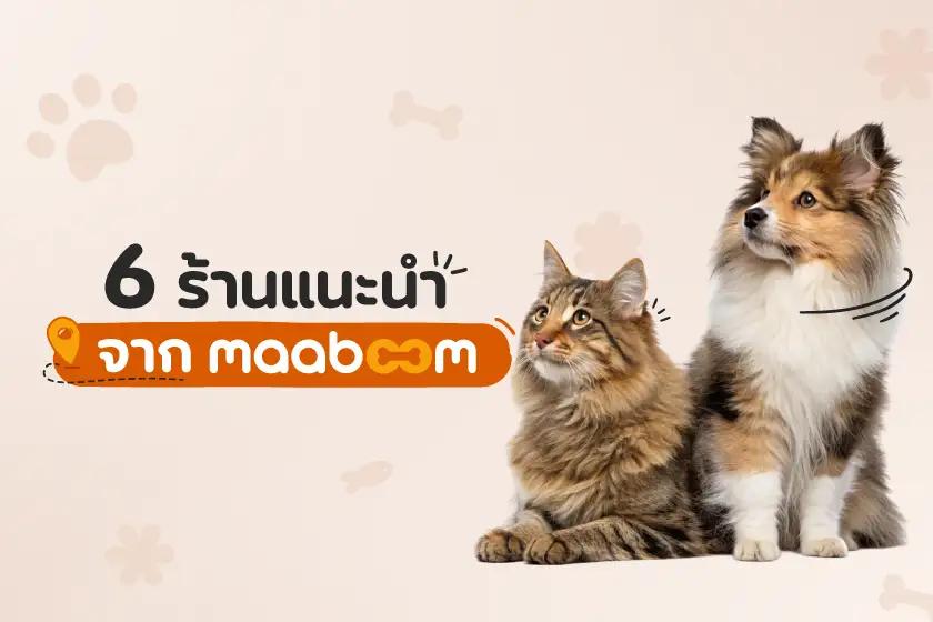 6 ร้านแนะนำจาก maaboom