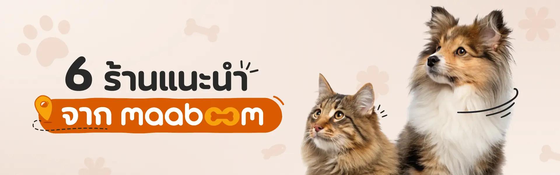 Article Banner