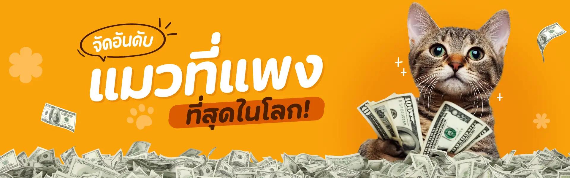 Article Banner