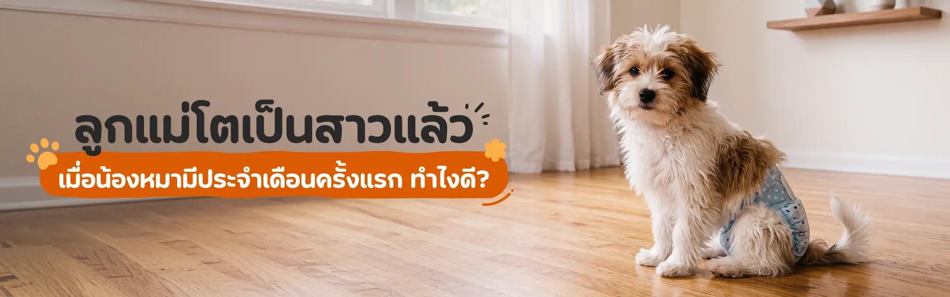 Article Banner