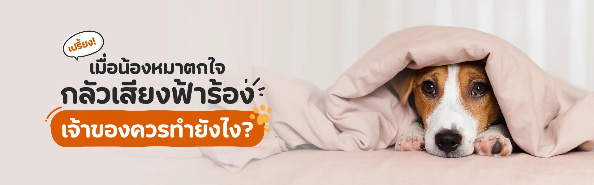 Article Banner