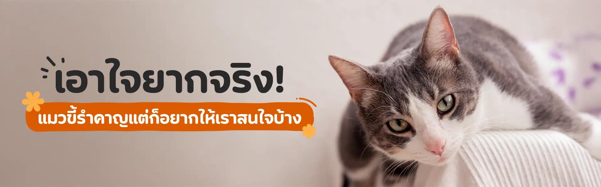 Article Banner