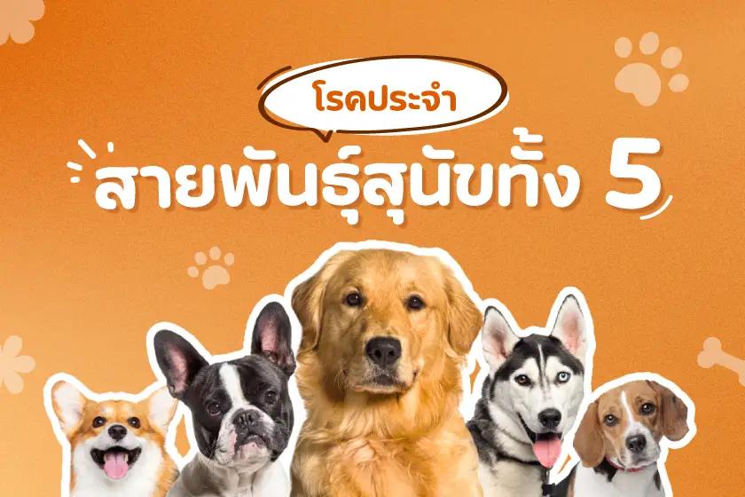 โรคประจำสายพันธุ์สุนัขทั้ง 5