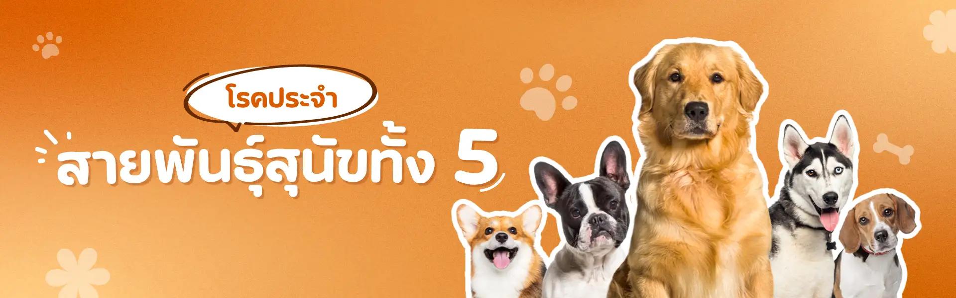 Article Banner