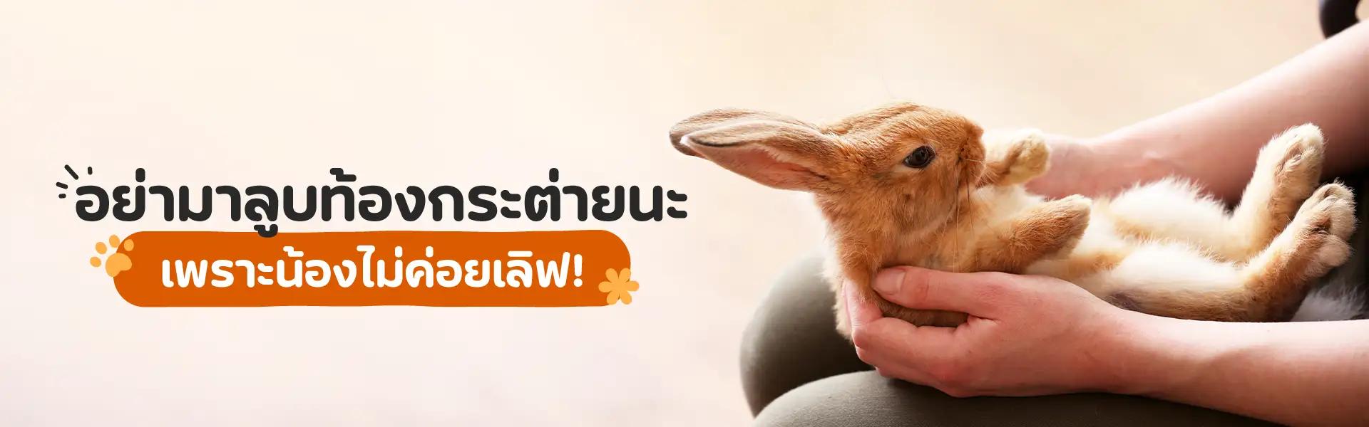 Article Banner