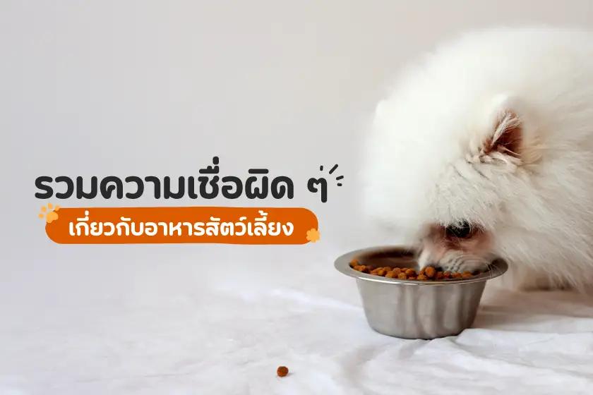 รวมความเชื่อผิด ๆ เกี่ยวกับอาหารสัตว์เลี้ยง