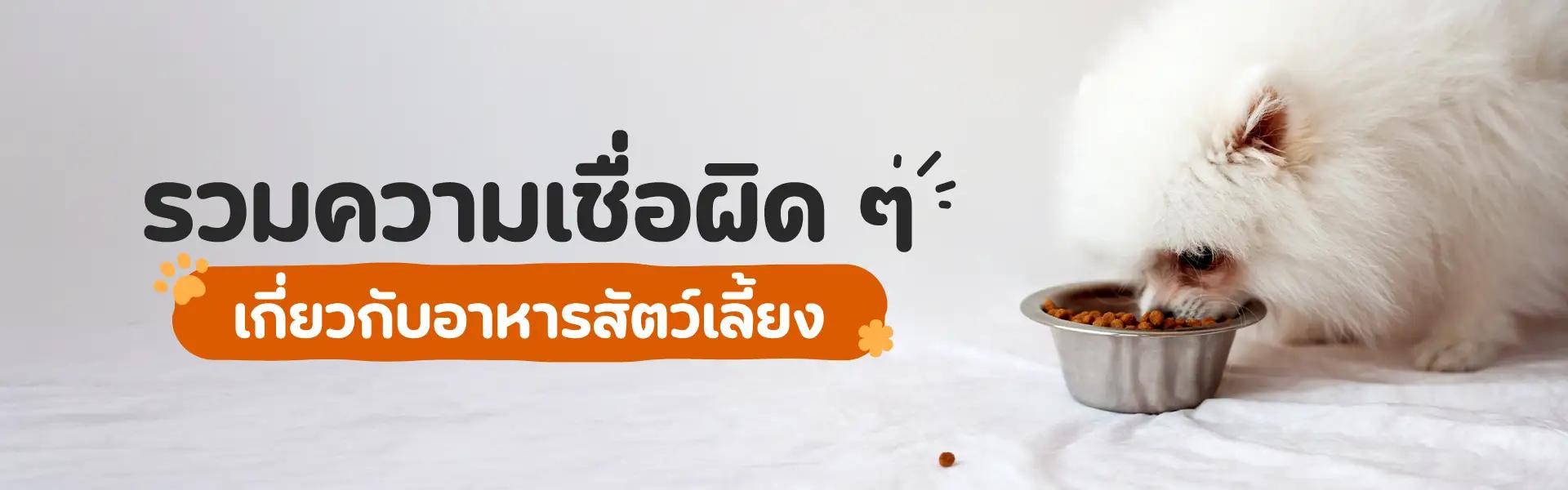 Article Banner