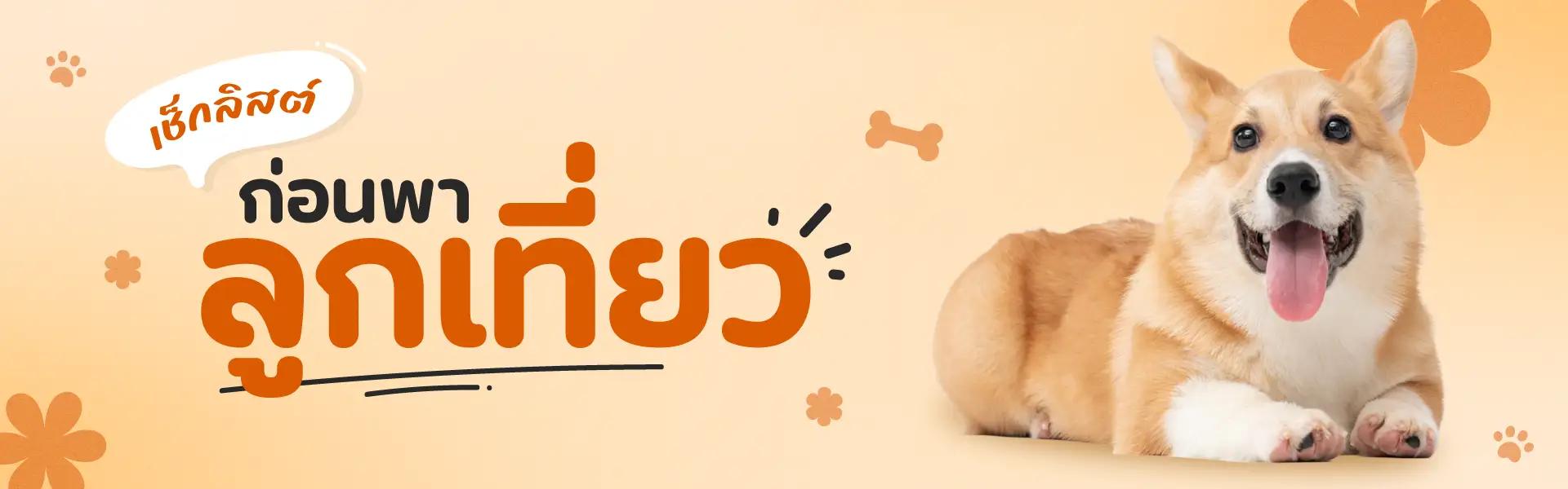 Article Banner