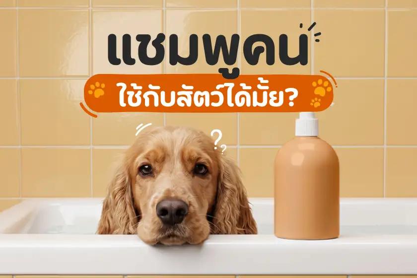 แชมพูคนใช้กับสัตว์ได้มั้ย?