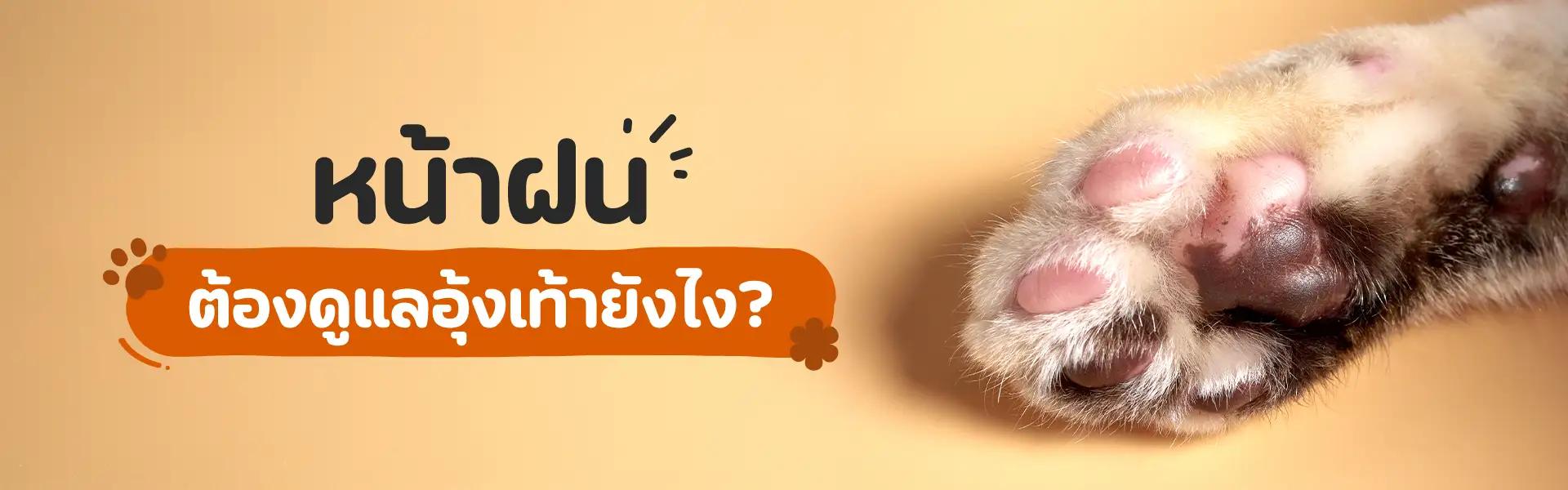 Article Banner