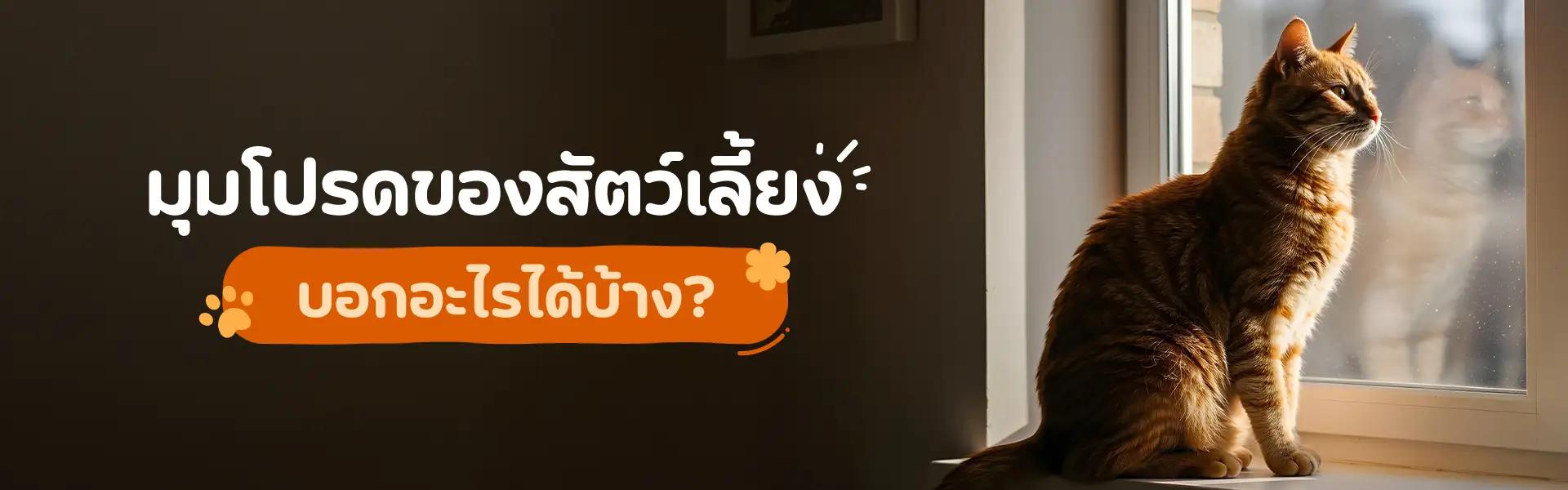 Article Banner
