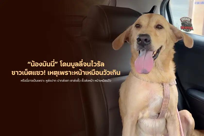 Article Banner