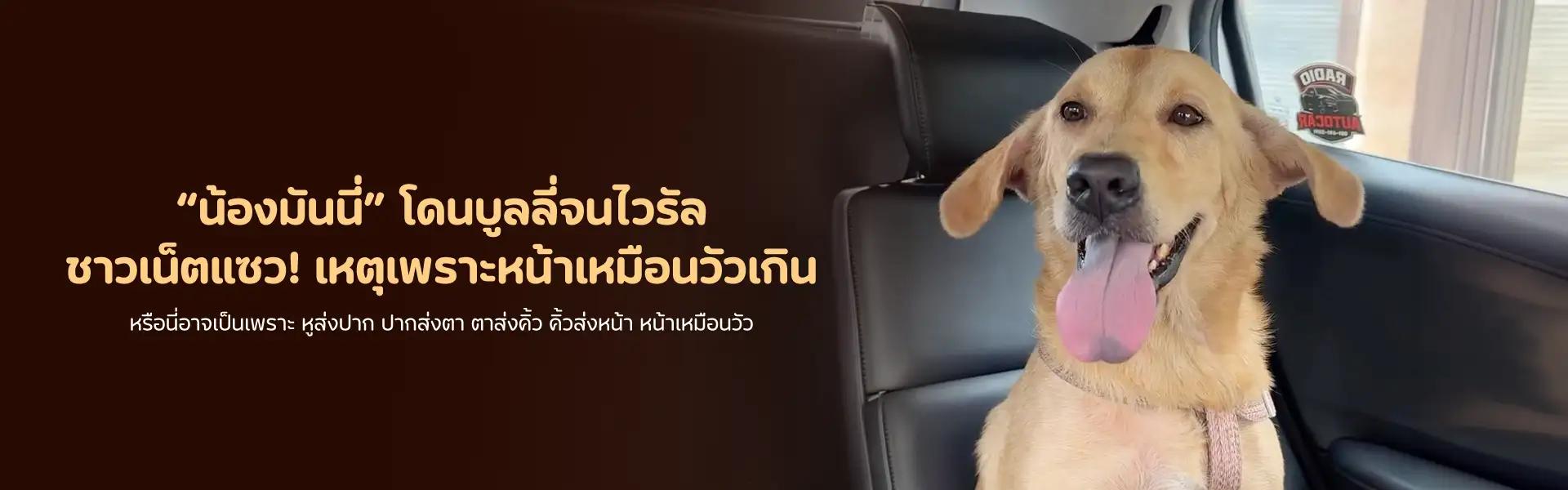 Article Banner
