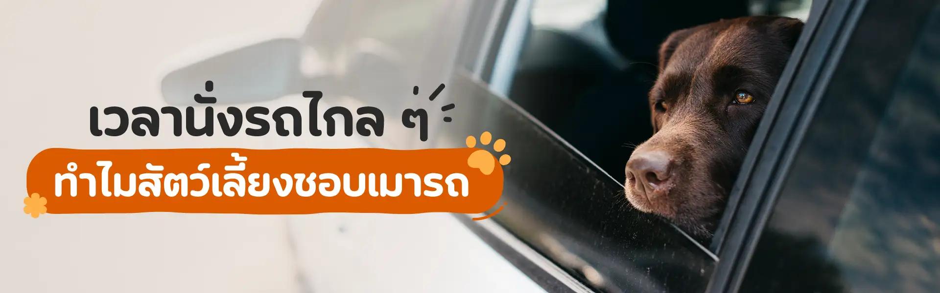 Article Banner