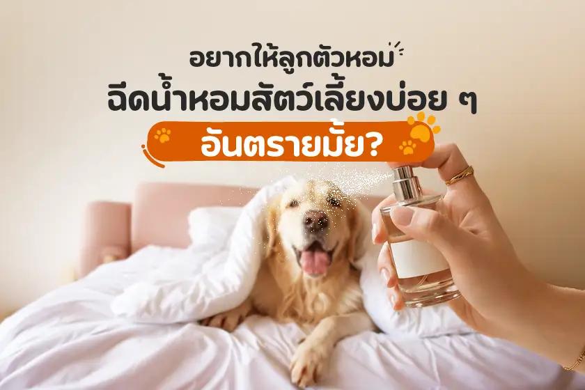 อยากให้ลูกตัวหอม ฉีดน้ำหอมสัตว์เลี้ยงบ่อย ๆ อันตรายมั้ย?